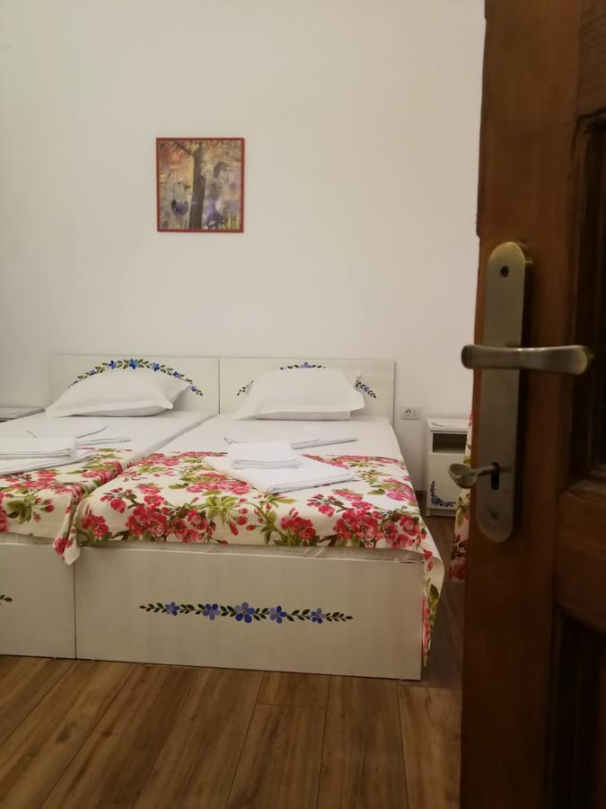 Pensiunea Geostar 2 Curtea de Argeş Εξωτερικό φωτογραφία