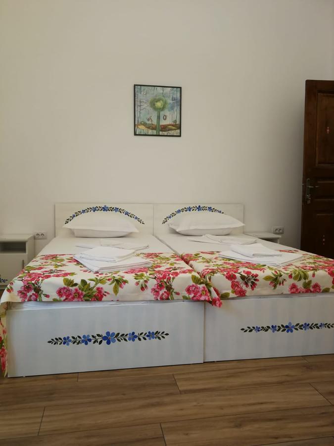 Pensiunea Geostar 2 Curtea de Argeş Εξωτερικό φωτογραφία