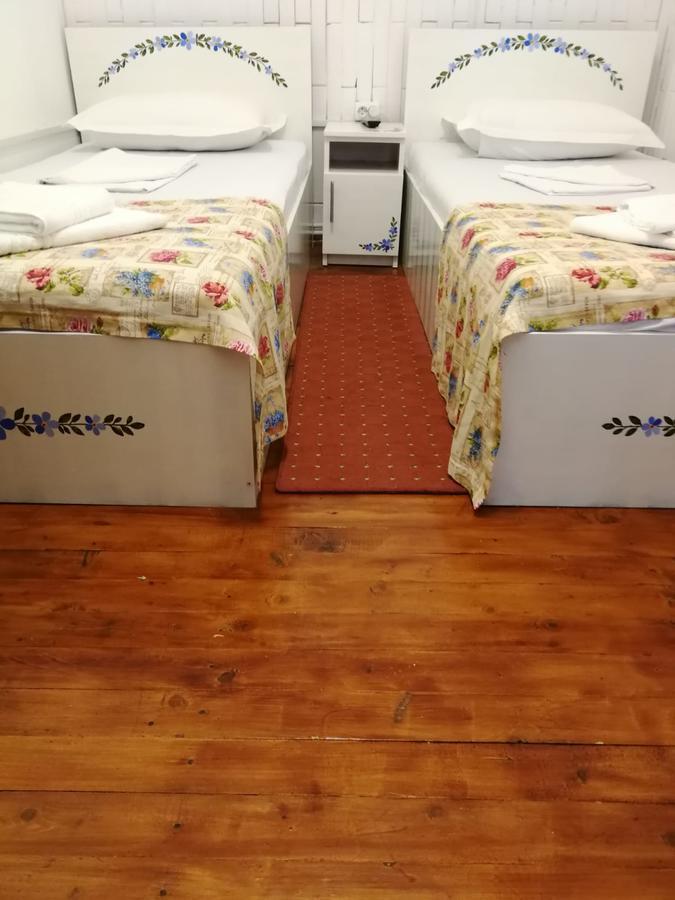 Pensiunea Geostar 2 Curtea de Argeş Εξωτερικό φωτογραφία